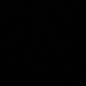 Meet your Posher, Randall